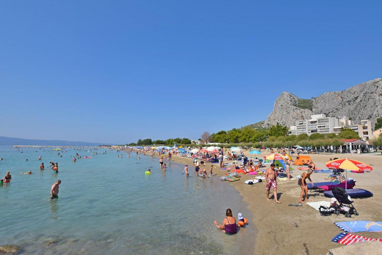 Apartment Petea Omis